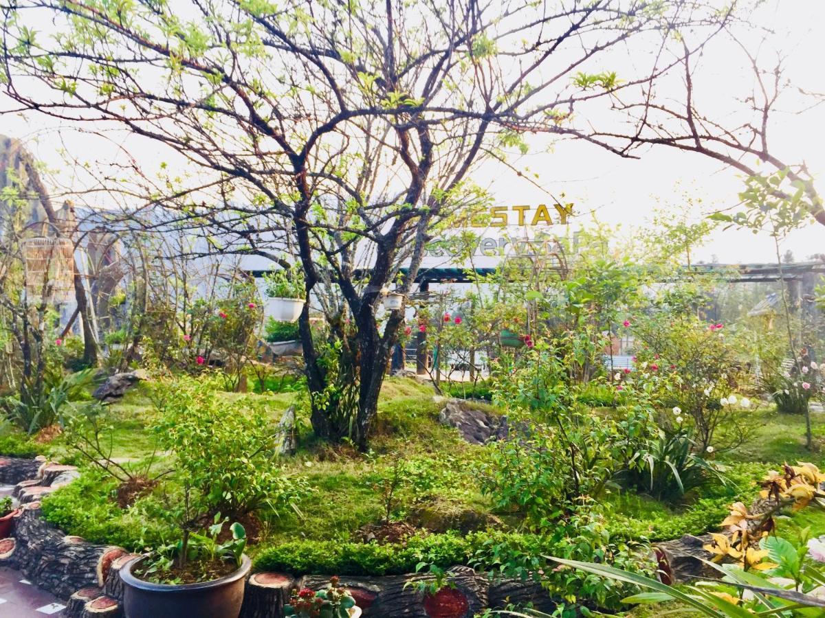 Homestay Discovery Sapa Exterior photo